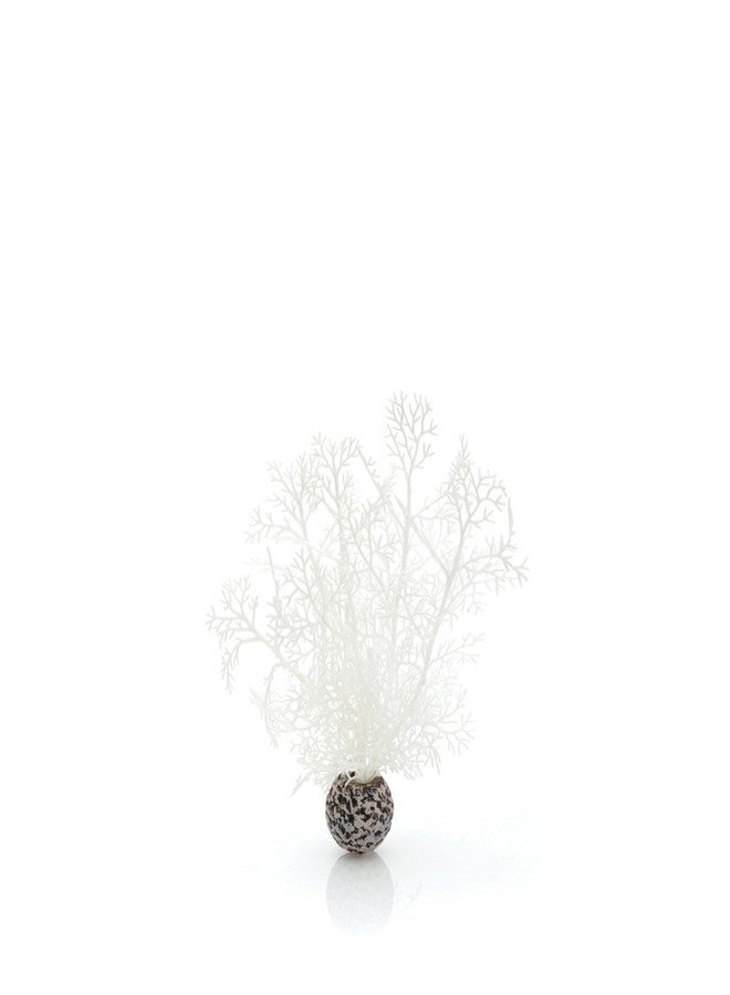 biOrb مروحة البحر البيضاء الصغيرة - Image 1